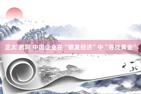 正太 男同 中国企业在“银发经济”中“寻找黄金”