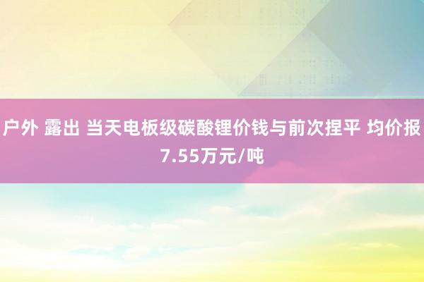 户外 露出 当天电板级碳酸锂价钱与前次捏平 均价报7.55万元/吨