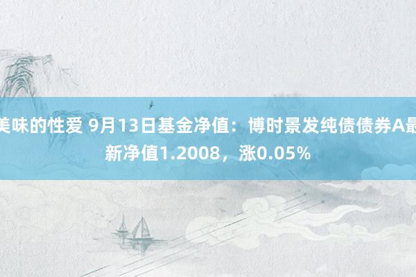 美味的性爱 9月13日基金净值：博时景发纯债债券A最新净值1.2008，涨0.05%