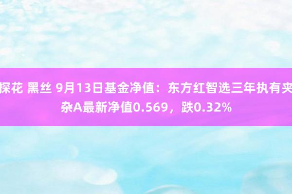 探花 黑丝 9月13日基金净值：东方红智选三年执有夹杂A最新净值0.569，跌0.32%