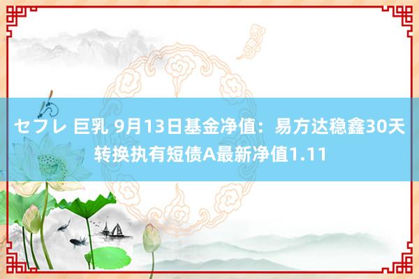 セフレ 巨乳 9月13日基金净值：易方达稳鑫30天转换执有短债A最新净值1.11