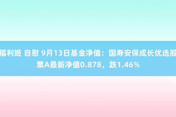 福利姬 自慰 9月13日基金净值：国寿安保成长优选股票A最新净值0.878，跌1.46%