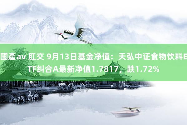 國產av 肛交 9月13日基金净值：天弘中证食物饮料ETF纠合A最新净值1.7817，跌1.72%