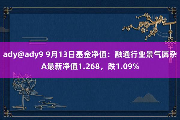 ady@ady9 9月13日基金净值：融通行业景气羼杂A最新净值1.268，跌1.09%