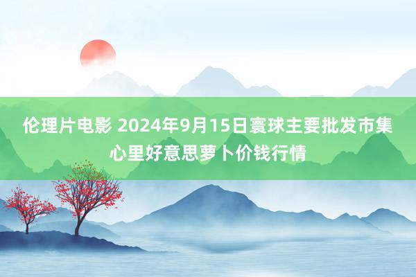 伦理片电影 2024年9月15日寰球主要批发市集心里好意思萝卜价钱行情