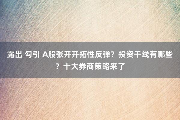 露出 勾引 A股张开开拓性反弹？投资干线有哪些？十大券商策略来了