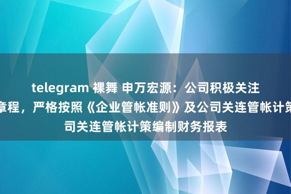 telegram 裸舞 申万宏源：公司积极关注管帐处理关连章程，严格按照《企业管帐准则》及公司关连管帐计策编制财务报表