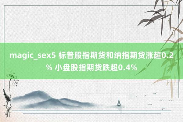 magic_sex5 标普股指期货和纳指期货涨超0.2% 小盘股指期货跌超0.4%