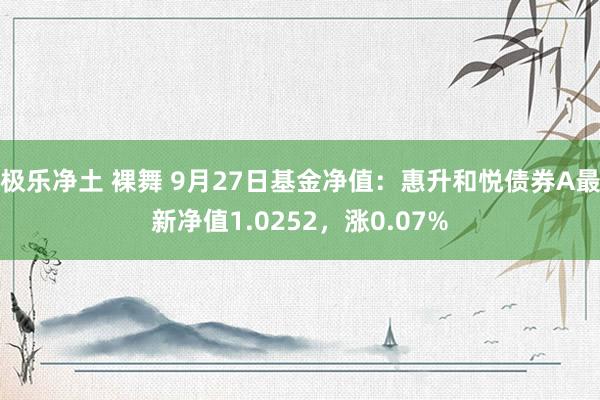 极乐净土 裸舞 9月27日基金净值：惠升和悦债券A最新净值1.0252，涨0.07%