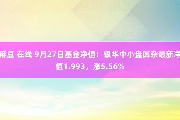 麻豆 在线 9月27日基金净值：银华中小盘羼杂最新净值1.993，涨5.56%