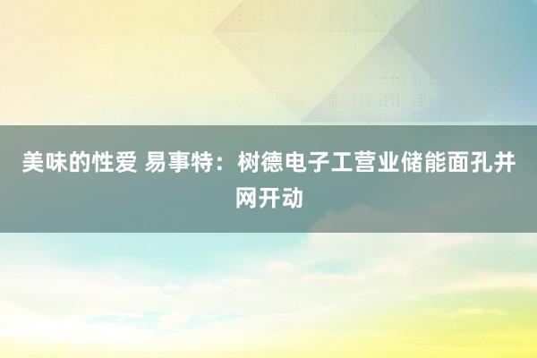 美味的性爱 易事特：树德电子工营业储能面孔并网开动