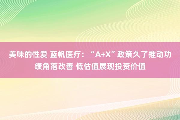 美味的性爱 蓝帆医疗：“A+X”政策久了推动功绩角落改善 低估值展现投资价值