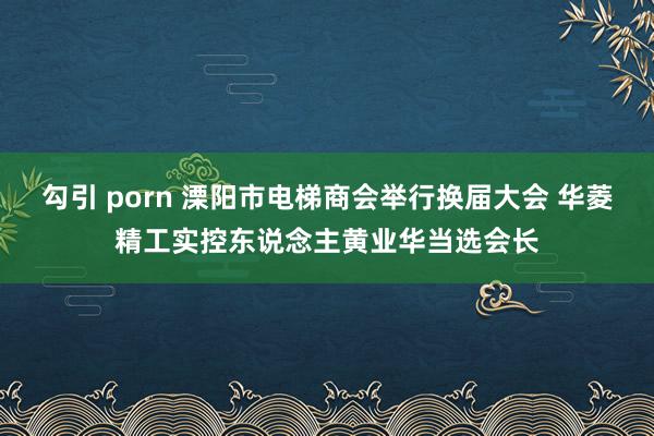 勾引 porn 溧阳市电梯商会举行换届大会 华菱精工实控东说念主黄业华当选会长