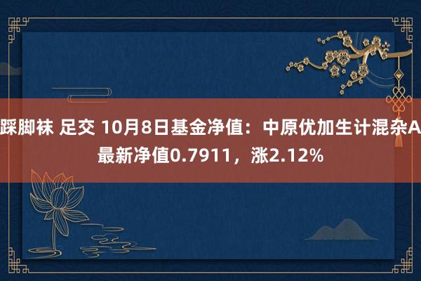 踩脚袜 足交 10月8日基金净值：中原优加生计混杂A最新净值0.7911，涨2.12%