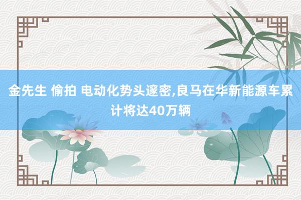 金先生 偷拍 电动化势头邃密，良马在华新能源车累计将达40万辆