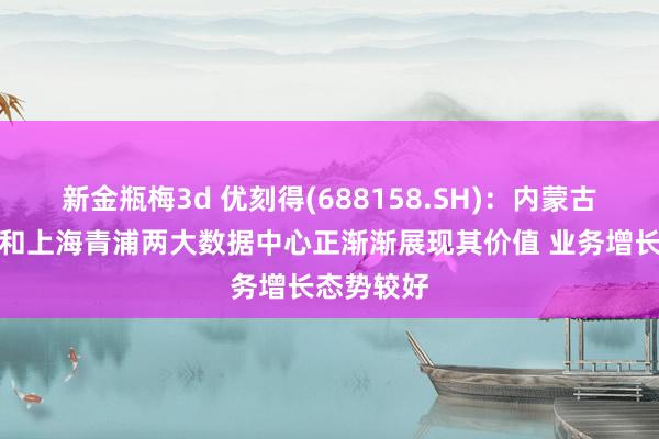 新金瓶梅3d 优刻得(688158.SH)：内蒙古乌兰察布和上海青浦两大数据中心正渐渐展现其价值 业务增长态势较好