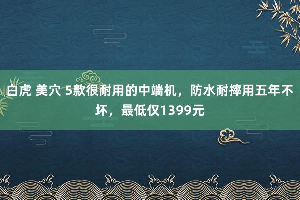 白虎 美穴 5款很耐用的中端机，防水耐摔用五年不坏，最低仅1399元