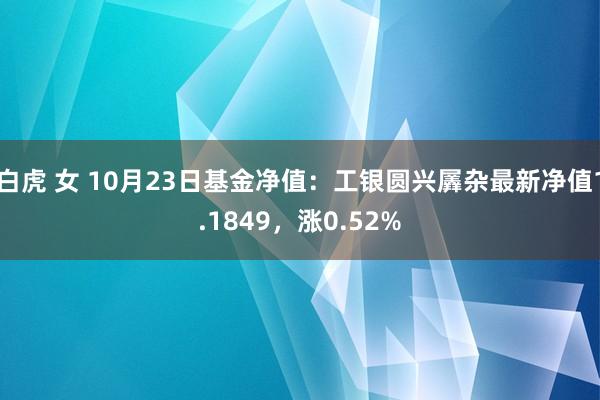 白虎 女 10月23日基金净值：工银圆兴羼杂最新净值1.1849，涨0.52%