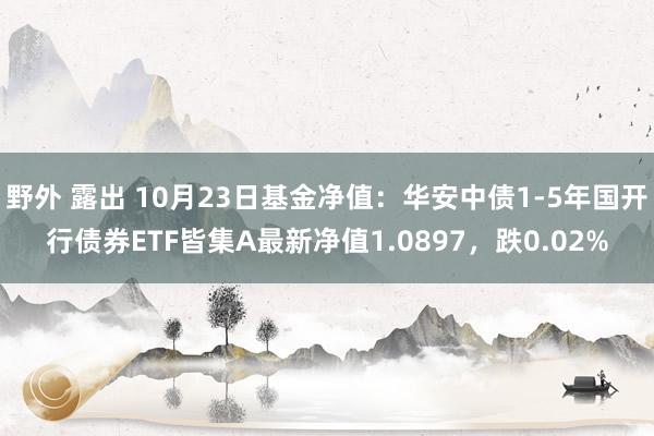 野外 露出 10月23日基金净值：华安中债1-5年国开行债券ETF皆集A最新净值1.0897，跌0.02%