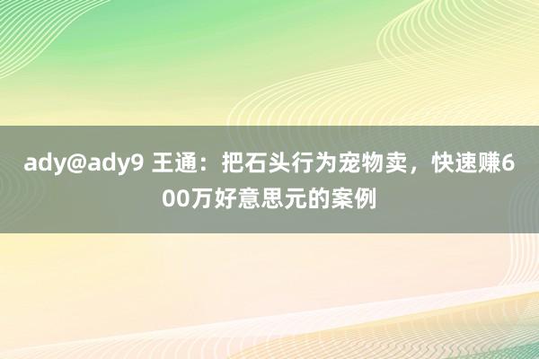 ady@ady9 王通：把石头行为宠物卖，快速赚600万好意思元的案例