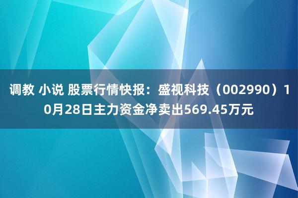 调教 小说 股票行情快报：盛视科技（002990）10月28日主力资金净卖出569.45万元