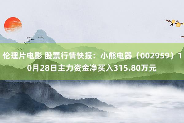 伦理片电影 股票行情快报：小熊电器（002959）10月28日主力资金净买入315.80万元