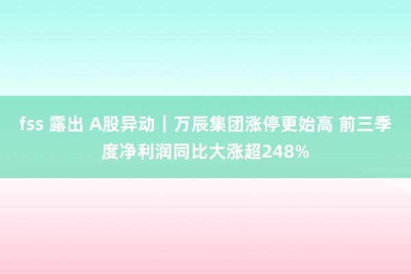 fss 露出 A股异动｜万辰集团涨停更始高 前三季度净利润同比大涨超248%