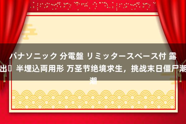 パナソニック 分電盤 リミッタースペース付 露出・半埋込両用形 万圣节绝境求生，挑战末日僵尸潮