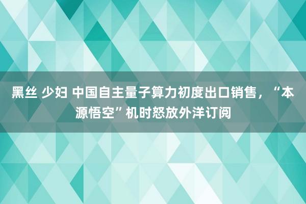 黑丝 少妇 中国自主量子算力初度出口销售，“本源悟空”机时怒放外洋订阅