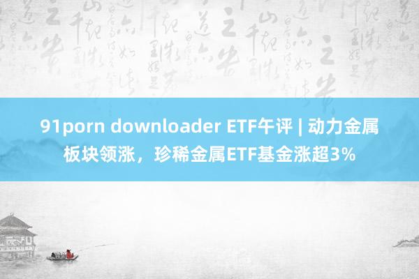 91porn downloader ETF午评 | 动力金属板块领涨，珍稀金属ETF基金涨超3%