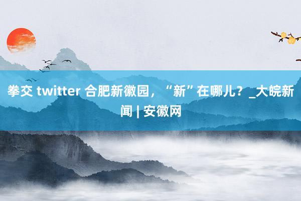 拳交 twitter 合肥新徽园，“新”在哪儿？_大皖新闻 | 安徽网