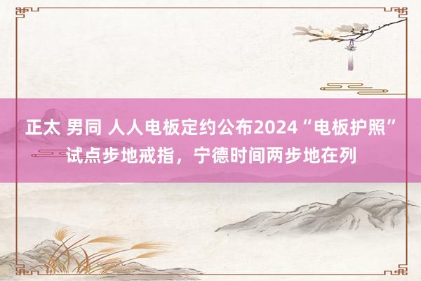 正太 男同 人人电板定约公布2024“电板护照”试点步地戒指，宁德时间两步地在列