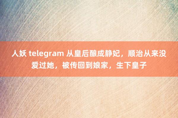 人妖 telegram 从皇后酿成静妃，顺治从来没爱过她，被传回到娘家，生下皇子