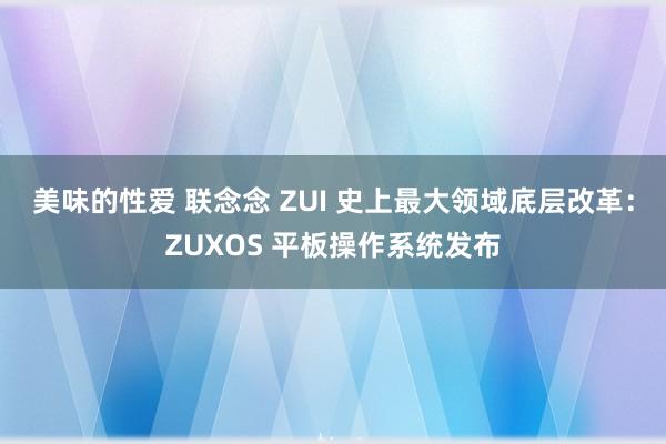 美味的性爱 联念念 ZUI 史上最大领域底层改革：ZUXOS 平板操作系统发布