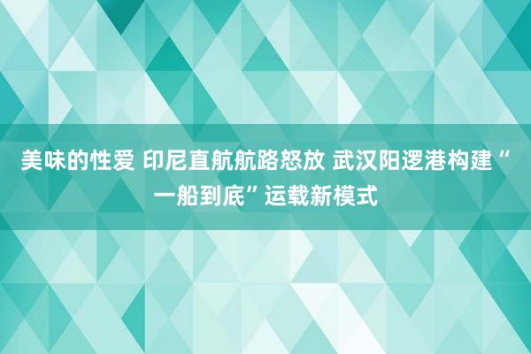 美味的性爱 印尼直航航路怒放 武汉阳逻港构建“一船到底”运载新模式