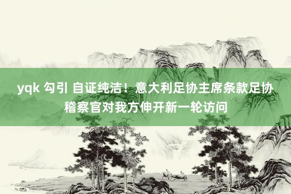 yqk 勾引 自证纯洁！意大利足协主席条款足协稽察官对我方伸开新一轮访问