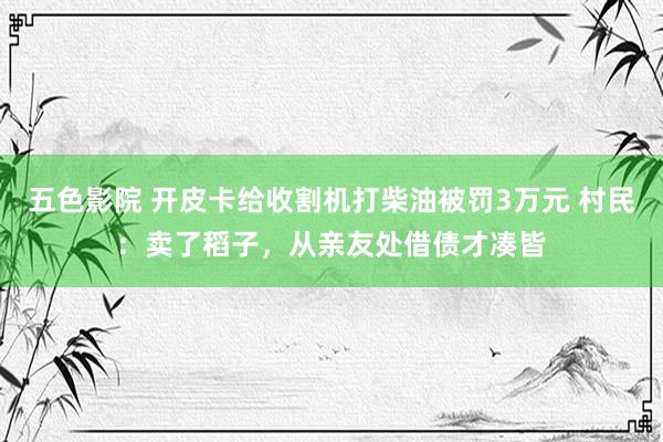 五色影院 开皮卡给收割机打柴油被罚3万元 村民：卖了稻子，从亲友处借债才凑皆