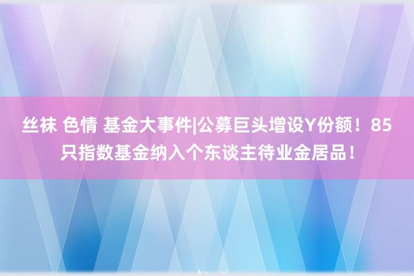 丝袜 色情 基金大事件|公募巨头增设Y份额！85只指数基金纳入个东谈主待业金居品！