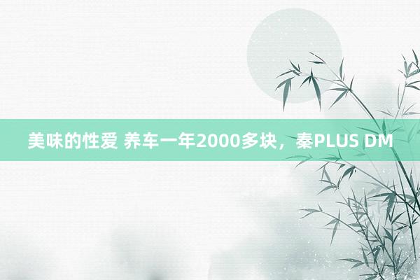 美味的性爱 养车一年2000多块，秦PLUS DM