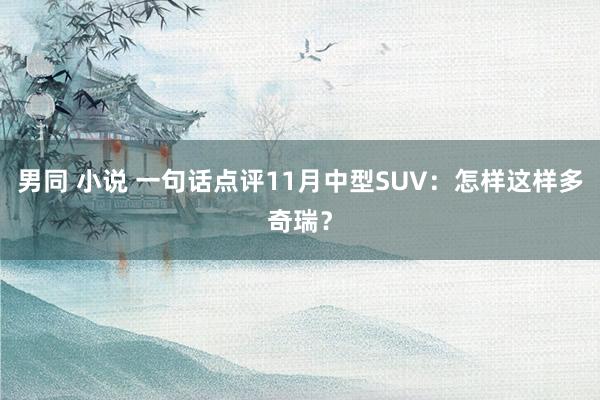 男同 小说 一句话点评11月中型SUV：怎样这样多奇瑞？