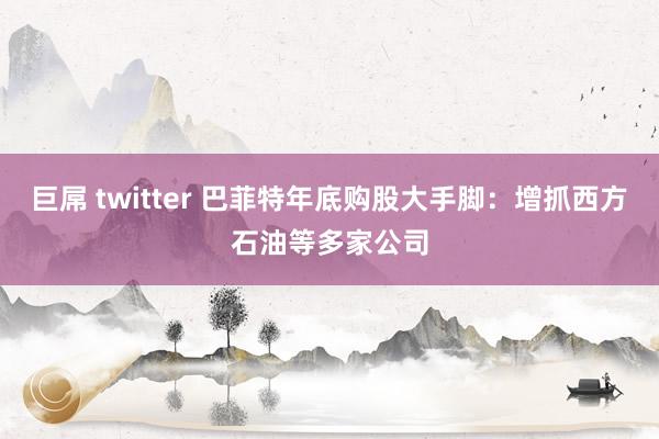 巨屌 twitter 巴菲特年底购股大手脚：增抓西方石油等多家公司