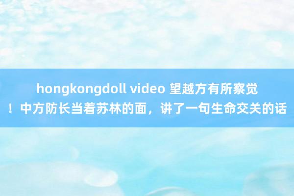 hongkongdoll video 望越方有所察觉！中方防长当着苏林的面，讲了一句生命交关的话