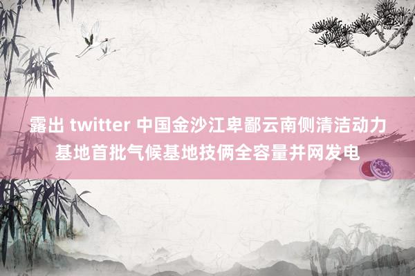 露出 twitter 中国金沙江卑鄙云南侧清洁动力基地首批气候基地技俩全容量并网发电