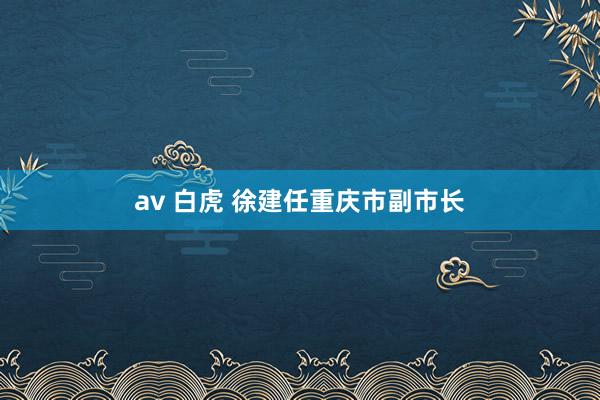 av 白虎 徐建任重庆市副市长