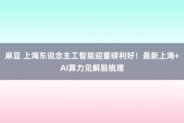 麻豆 上海东说念主工智能迎重磅利好！最新上海+AI算力见解股梳理