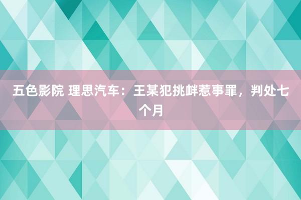 五色影院 理思汽车：王某犯挑衅惹事罪，判处七个月