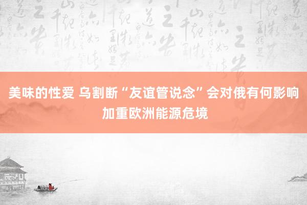 美味的性爱 乌割断“友谊管说念”会对俄有何影响 加重欧洲能源危境