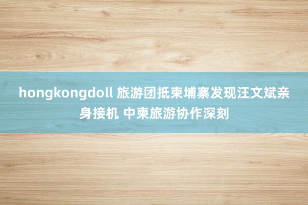 hongkongdoll 旅游团抵柬埔寨发现汪文斌亲身接机 中柬旅游协作深刻