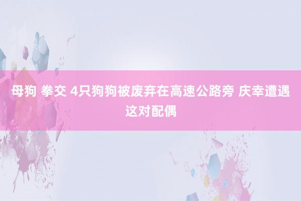 母狗 拳交 4只狗狗被废弃在高速公路旁 庆幸遭遇这对配偶