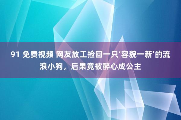 91 免费视频 网友放工捡回一只‘容貌一新’的流浪小狗，后果竟被醉心成公主